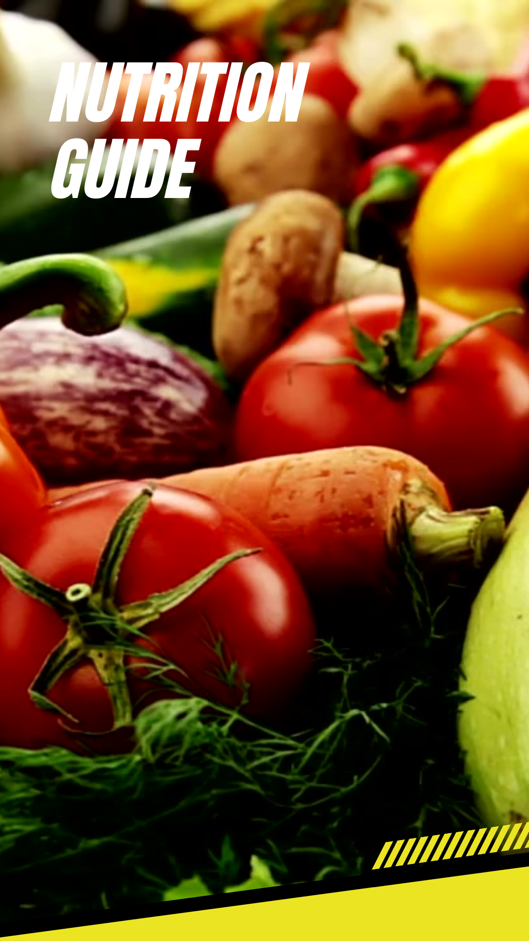 Nutrition Guide